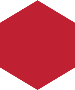 The Designs Legacy